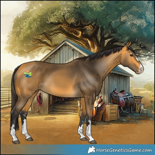 Horse Color:Buckskin 