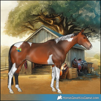 Horse Color:Bay Tobiano 