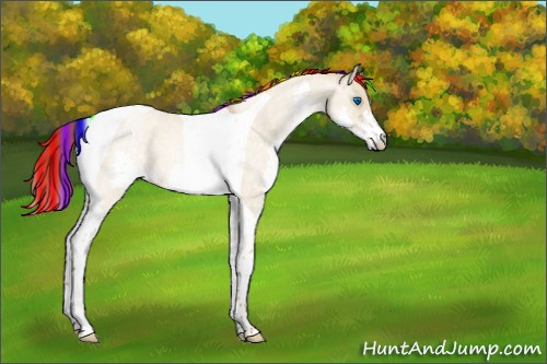 Horse Color:Painted Chocolate Buckskin Roan Pearl Dun Splash Tobiano 