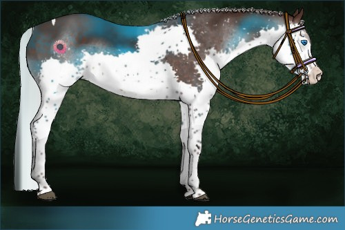 Horse Color:Silver Brown Splash Tobiano