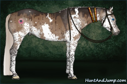Horse Color:Gray White Spotted Silver Brown Dun Splash Tobiano Brindle 