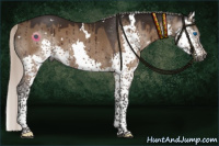 Horse Color:Gray White Spotted Silver Brown Dun Splash Tobiano Brindle
