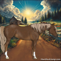 Horse Color:Chocolate Palomino 