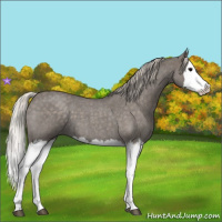 Horse Color:Silver Blue Roan Splash 
