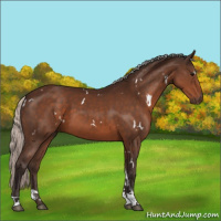 Horse Color:White Spotted Silver Brown Tobiano 