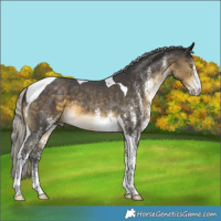 Horse Color:White Spotted Silver Buckskin Tobiano