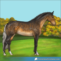 Horse Color:Silver Buckskin 