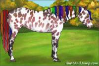 Horse Color:Painted White Spotted Brown Dun Leopard 