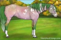 Horse Color:Watercolor White Spotted Brown Dun Splash 
