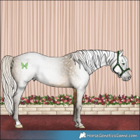 Horse Color:Gray Silver Sable Cream Champagne 
