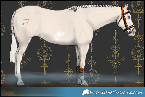 Horse Color:Cremello Splash and Cremello Splash Frame