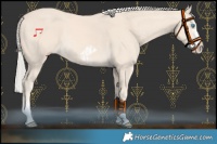 Horse Color:Cremello Splash and Cremello Splash Frame