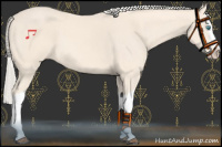 Horse Color:Cremello Splash  and Cremello Splash 