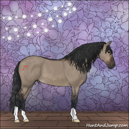 Horse Color:Brown Dun 