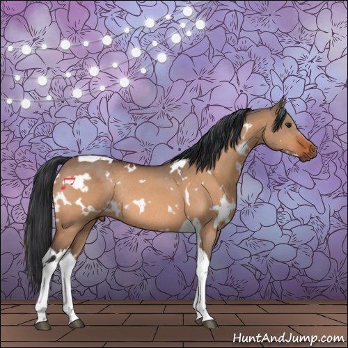 Horse Color:White Spotted Brown Dun Tobiano Rabicano 