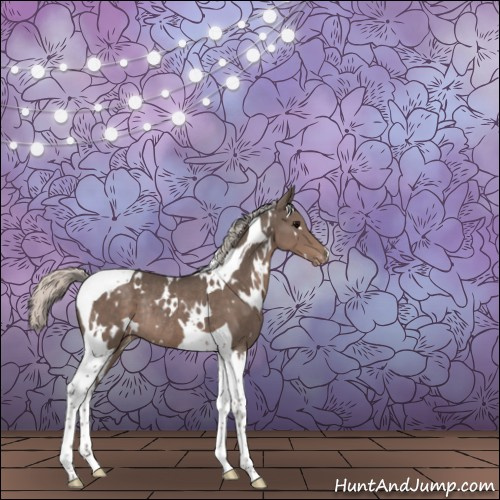 Horse Color:White Spotted Silver Black Tobiano Appaloosa Rabicano 