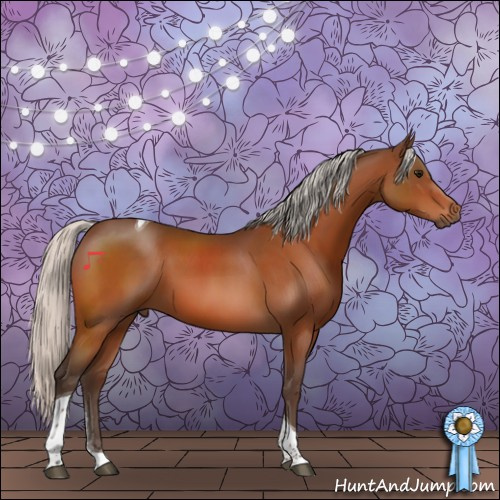 Horse Color:Silver Bay Tobiano Rabicano 