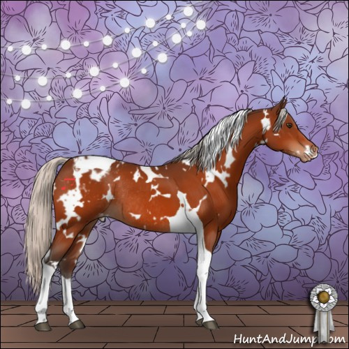 Horse Color:White Spotted Silver Brown Tobiano Appaloosa Rabicano 
