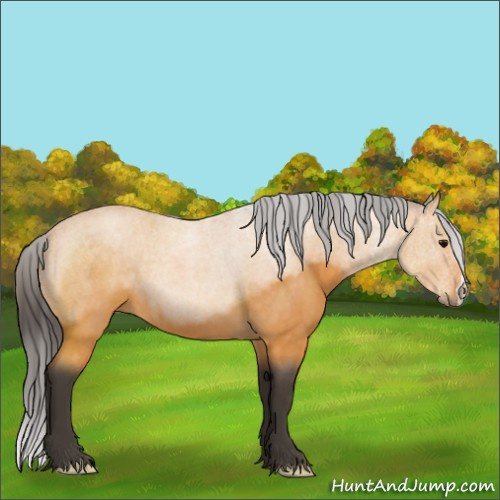 Horse Color:Buckskin Roan 
