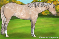 Horse Color:Silver Bay Ice Dun 