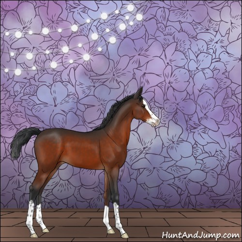 Horse Color:Brown Splash 