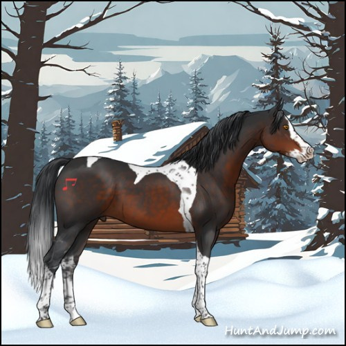 Horse Color:Brown Splash Tobiano 