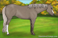 Horse Color:Silver Grullo 
