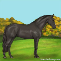 Horse Color:Smoky Black 