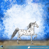 Horse Color:Grullo Mushroom Sabino