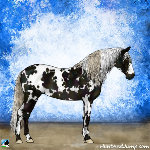 Horse Color:White Spotted Midnight Chocolate Palomino Ice 