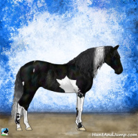 Horse Color:Midnight Black Ice Mushroom Tobiano Rabicano
