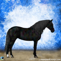 Horse Color:Midnight Black Ice Mushroom Sabino 