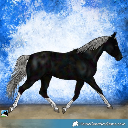 Horse Color:Midnight Liver Chestnut Ice Mushroom Tobiano 