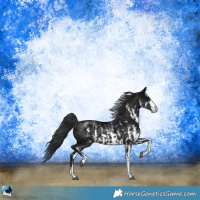 Horse Color:Black Ice Mushroom Sabino