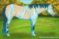 Horse Color:Thunderstruck Bay Dun 