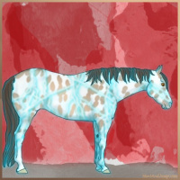 Horse Color:Thunderstruck Sable Champagne Dun Appaloosa 