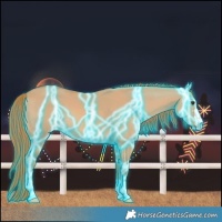 Horse Color:Thunderstruck Red Dun 