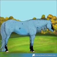 Horse Color:ERROR: UNKNOWN ANOMALY