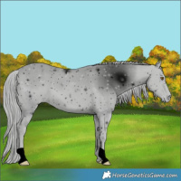 Horse Color:ERROR: UNKNOWN ANOMALY