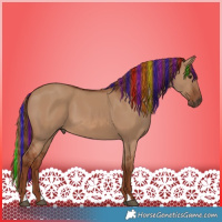 Horse Color:Painted Red Dun 