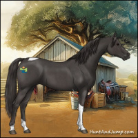 Horse Color:Smoky Blue Roan Tobiano 