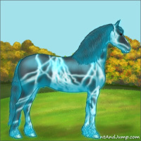 Horse Color:Thunderstruck Black