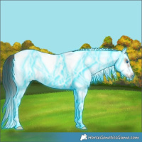 Horse Color:Thunderstruck White Spotted Bay Frame 