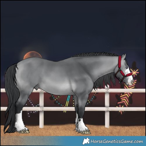 Horse Color:Bay Chinchilla 