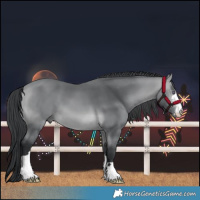 Horse Color:Bay Chinchilla 
