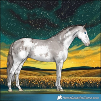 Horse Color:White Spotted Liver Chestnut Sabino Splash Varnish 