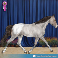 Horse Color:Brown Roan Dun Sabino Snowcap 
