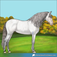 Horse Color:Brown Roan Dun Varnish 