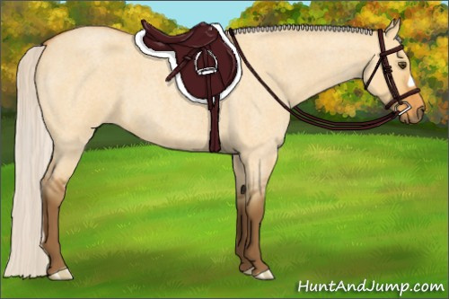 Horse Color:Silver Buckskin Roan Dun 