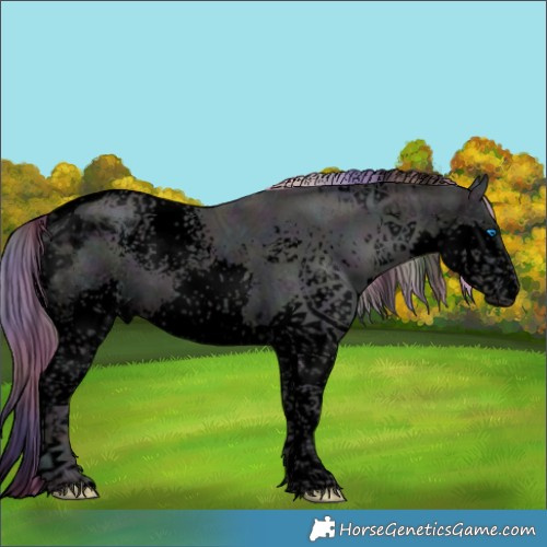 Horse Color:Void Platinum Nacre Watercolor White Spotted Midnight Buckskin Ice Pearl Onyx Splash Tobiano